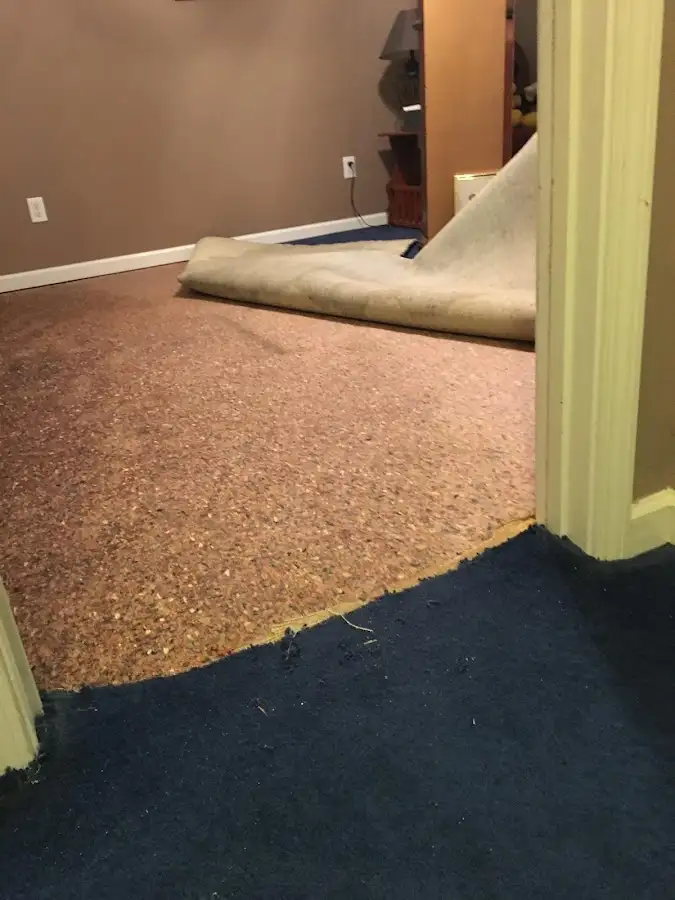 Carpet pad removal revealing water damage during Water Mitigation Services in Waterloo