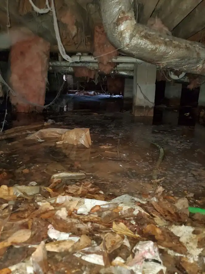 Crawl space flood assessment for Leak Detection & Repair in Waterloo